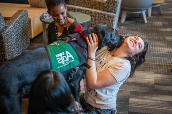 students spend some face time with a therapy dog